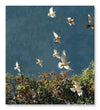 Paint Waint Birds of Peace  - Monsoon Edition