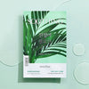 Innisfree Soothing Moment For Skin - 25 ml