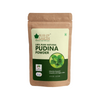 Bliss of Earth Pudina (Mint) Powder - 100gm