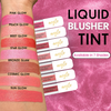 Aegte Celeb Glow Liquid Blusher Tint