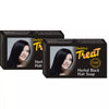 Dehlvi Ambar Black Soap P-6 - 75 gms (Pack of 2)