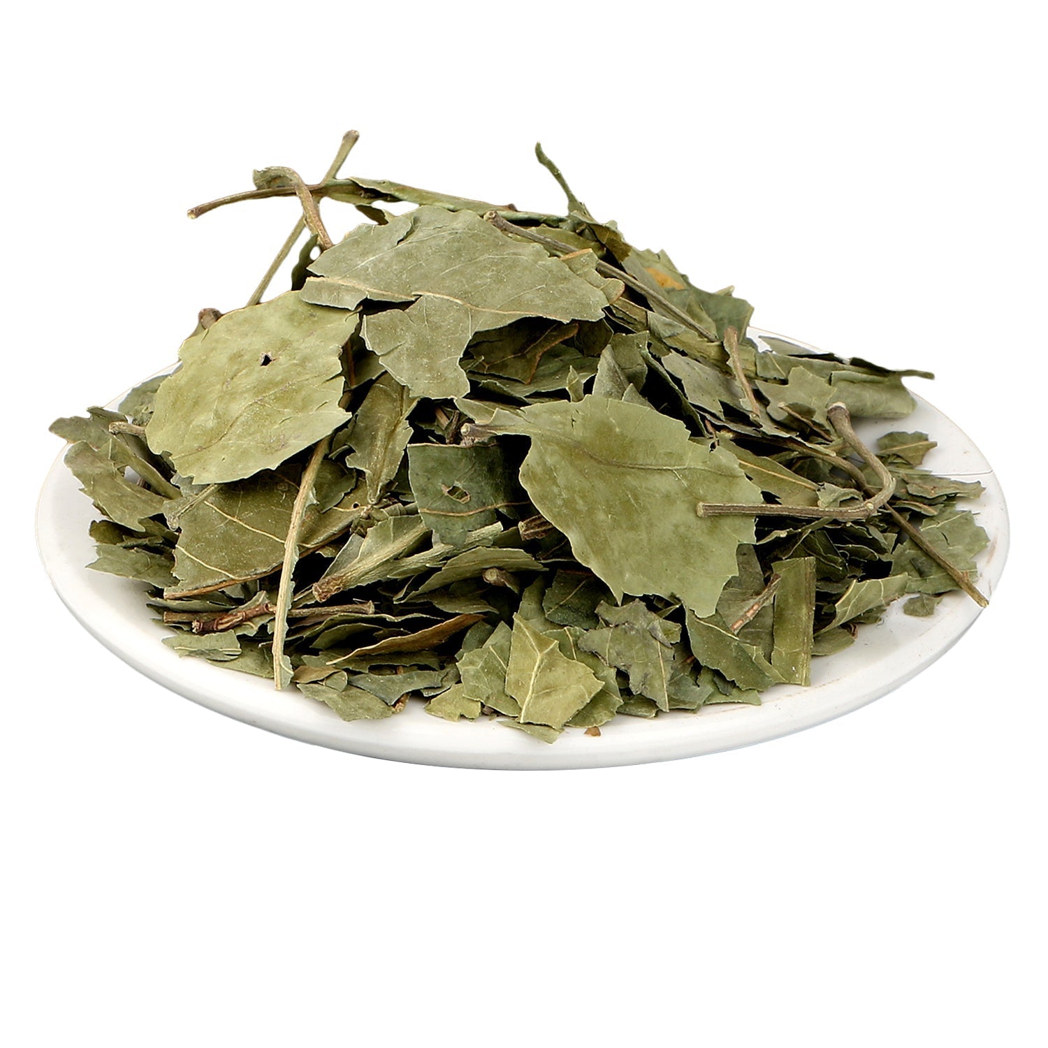 Yuvika Bel Patta - Bel Patra - Bilva Bel Leaf - Aegle Marmelos