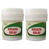 Dehlvi Kushta Qalai - 10 gms (Pack of 2)