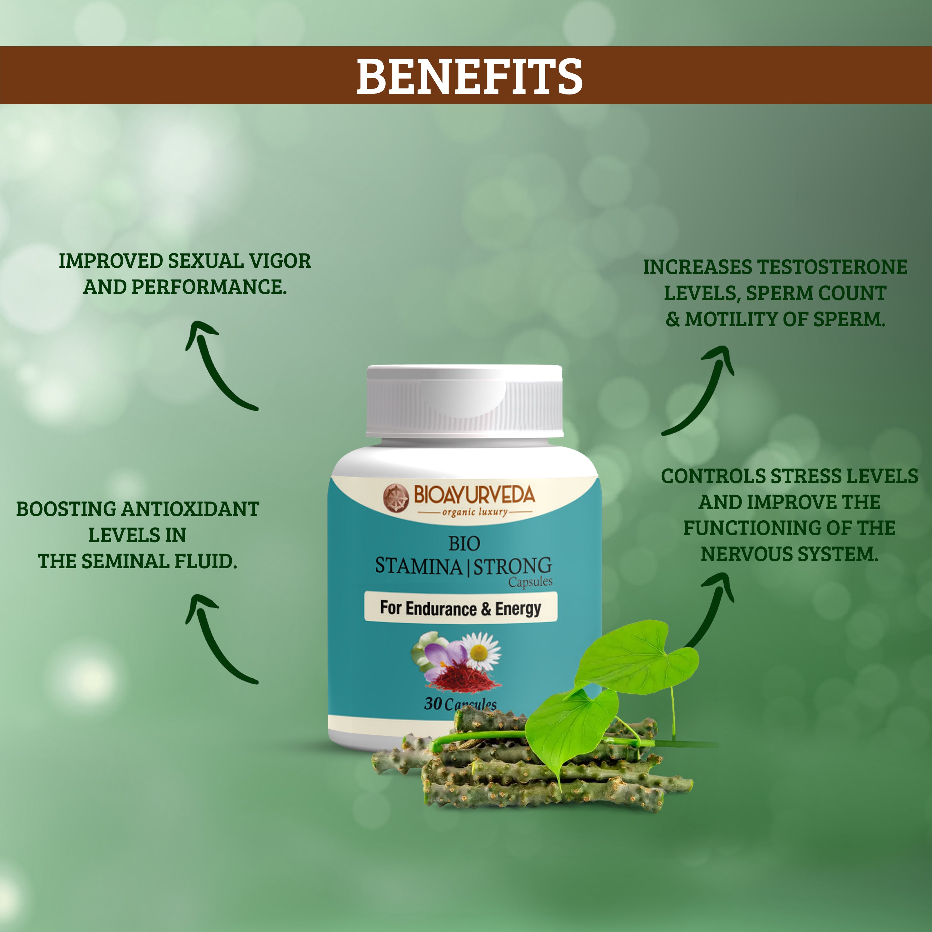 Bio Ayurveda Stamina Strong Capsule - DesiPick
