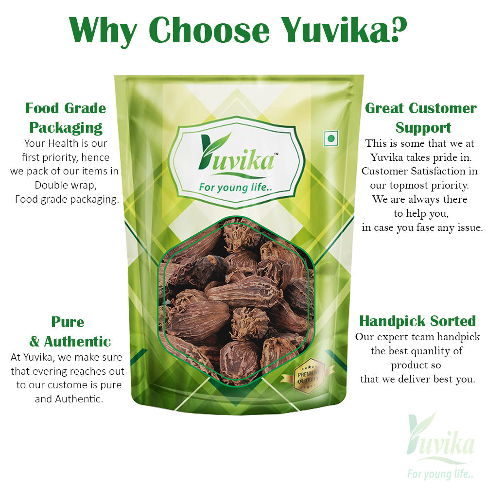 Yuvika Elaichi Badi - Elachi Badi - Badi Elaichi - Elettaria cardamomum - Black Cardamom