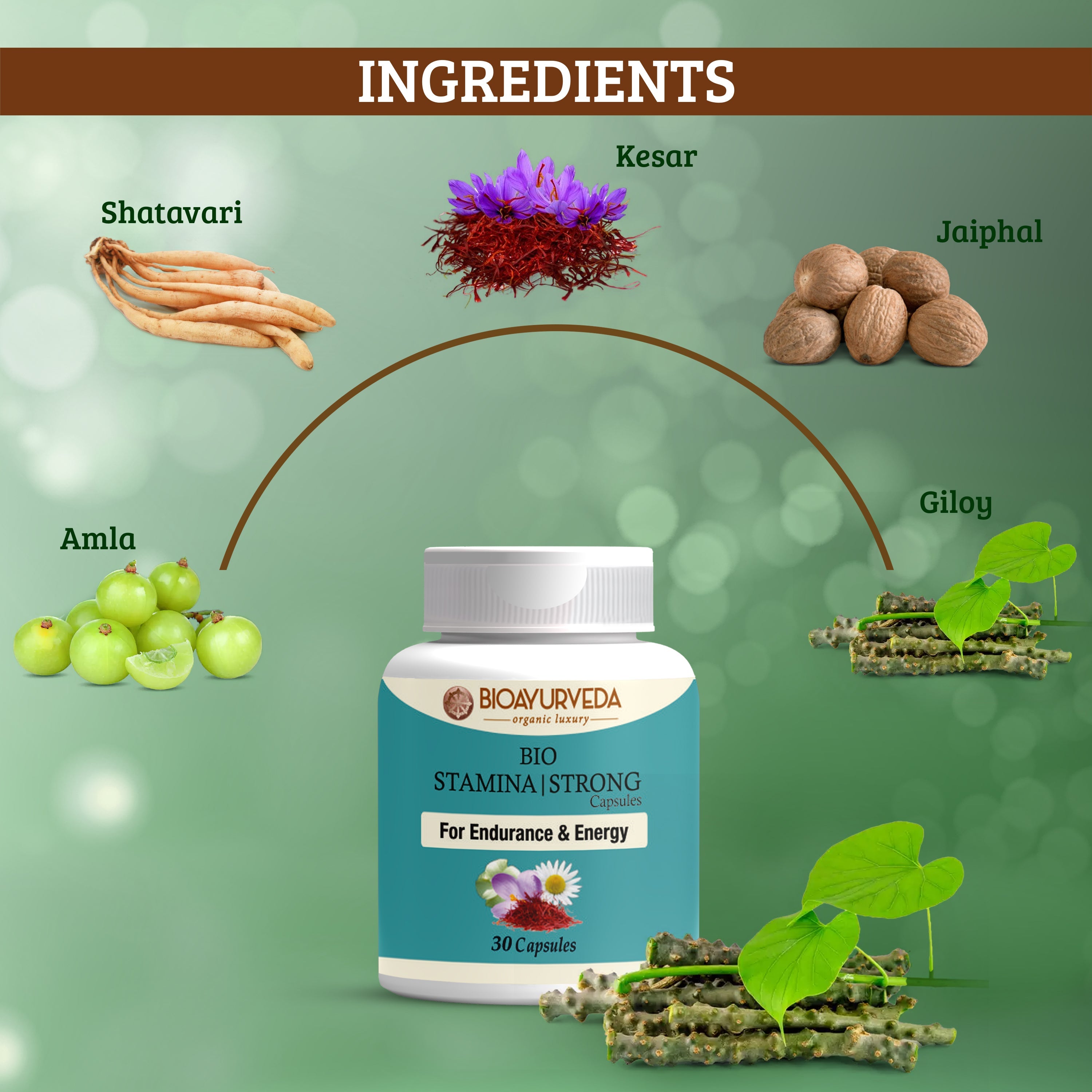 Bio Ayurveda Stamina Strong Capsule - DesiPick