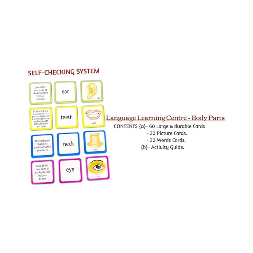 Creative's Language Learning Centre-body Parts | Knowledge About Human ...