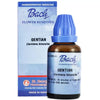 St. George Bach Flower Gentian - 30 ml