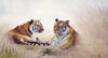 Tulip N Turtle Corbett Diy Acrylic Paint By Number Kit For Adults Beginner Canvas Painting Color 452