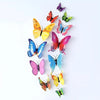 Jaamso Royals Colourful 3d Magnet Stickers Self Adhesive