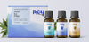 Rey Naturals AM to PM Essential Oil Gift Set - Rest Focus Inspire - 3 Aromatherapy Blends for - Natural Stress Relief, Headache Relief, and Home Fragrance - Enhance Focus, Unleash Creativity