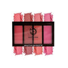Mattlook Beauty Makeup 4 Color Blush Palette Blossom - 20 gms