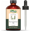 Organic Zing Bay Laurel Leaf (Laurus Nobilis) Oil | Essential Oil for Skincare, Hair Care & Massage - 118 ml