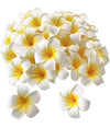 Artificial Big Foam Hawaaii Fake Foam Water Floating Flowers White