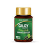 Jagat Pharma Giloy Extract Plus Capsules - 60 caps
