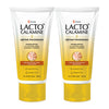 Lacto Calamine Ubtan Face Wash - 100 ml  (Pack of 2)