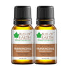 Bliss of Earth Premium Frankincense Boswellia frerana Essential Oil - 10 ml Each (Pack of 2)