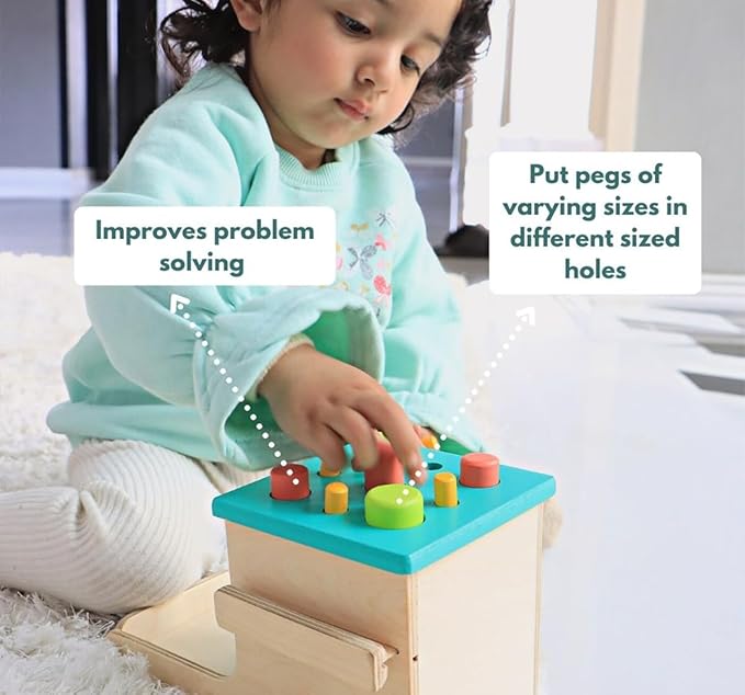 Curious Cub Montessori Learning Wooden Toys | Box 13 | Develop Problem ...