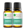 Bliss Of Earth Premium Eucalyptus Essential Oil - 10 ml Each (Pack of 2)