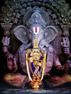 Tulip N Turtle Ganesha Balaji Diy Acrylic Paint By Number Kit For Adults Kids Beginner Number Painting Kit Color 87