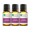 Bliss of Earth Premium Lavender Spain Lavandula Angustifobia Essential Oil - 10 ml Each (Pack of 3)