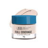 Beauty Berry Full Coverage Concealer Classic Ivory - 10 gms