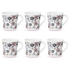 Larah by Borosil Crysta Series Macy Opalware Mug | Set of 6 Tea/coffee Mugs | 100 Ml Each