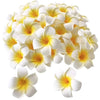 Premium Foam White Plumeria Hawaii Flower Artificial Floating White-24