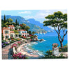 Hasthip Paint By Numbers Kits, Diy Oil Painting, Canvas Paint By Numbers For Kits And Adults 16 20 Inch Multicolour