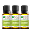 Bliss of Earth Premium Lemongrass Cymbopogon Citratus - 10 ml Each (Pack of 3)