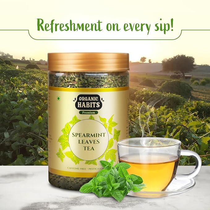Organic Habits Spearmint Leaves Tea 100 Gms | 100% Natural Dried Spearmint Loose Leaves Tea | Spearmint Herbal Tea
