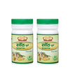 Jaived Ayurveda Sonth Churna - 100 gms  (Pack of 2)