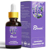DPetals Lavender Essential Oil for Balance Wellness Relaxation Skin Care - 15 ml