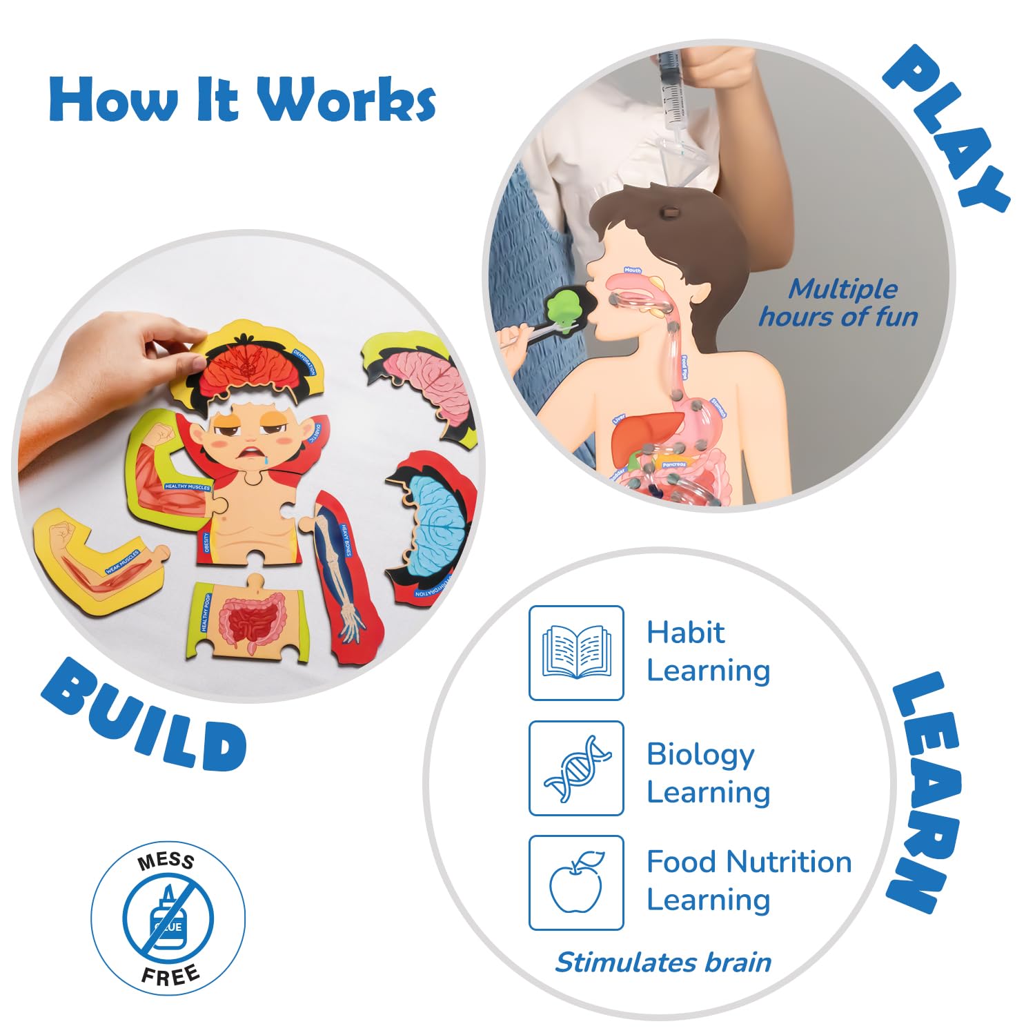 Smartivity My Body My Nutrition Toy for Kids Healthy Eating Game Educational Science Toy