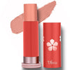 Olivia SkinSync Make Up Stick Foundation Shade 04 Creamy Praline - 15 gms