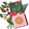 Daughter Earth High Coverage Concealer for Face Makeup, Lightweight and Breathable - 4.5 Gms
