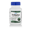 Healthvit Tribulus Powder 250 mg - 60 caps