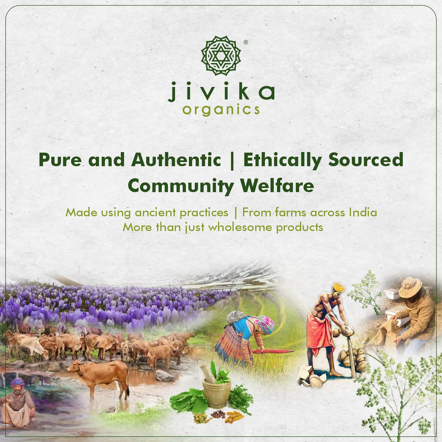 Jivika Naturals Desi Rose Gulkand - 400 gms