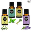 Earth N Pure Lavender, Lemongrass, Peppermint & Eucalyptus Essential Oils - Pack Of 4 - 15 ml each