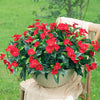 Artificial Impatiens Bouquet Flowers Silk Faux Flowers 8PCS Red-8