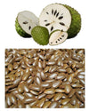 Alavi Graviola / Soursop For Plantation - 50 Seeds