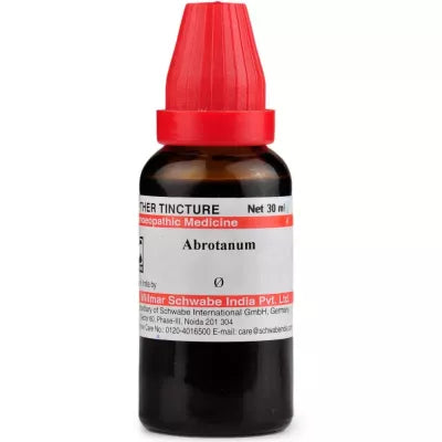 Dr. Willmar Schwabe India Abrotanum Mother Tincture Q