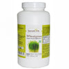 Ayurvedic Life Wheatgrass Tablet Green Food Supplement – 500 tablet