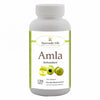 Ayurvedic Life Amla Tablet – 120 tablet