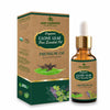 Deep Ayurveda Clove Leaf Pure Essential Oil - 20 ml