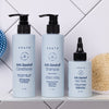 Arata Anti-Dandruff Clean Scalp Treatment - Normal to Oily Hair