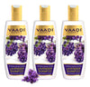 Vaadiherbals Lavender Shampoo with Rosemary Extract -  350 gms Each (Pack of 3)