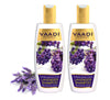 Vaadiherbals Lavender Shampoo with Rosemary Extract - Pack of 2