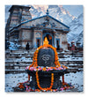 Paint Waint Jyotirlinga of the Snow Shiva