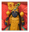 Paint Waint Rajadhiraj Ghibli Addition Krishna